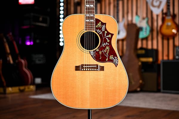 Acoustic Guitar