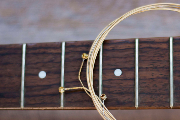 Humidity-Controlled Guitar Cases: Do You Need One?