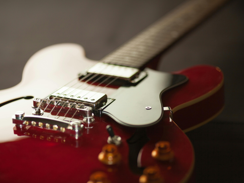 Guitar care essentials